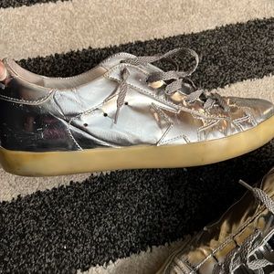 Metallic silver golden goose